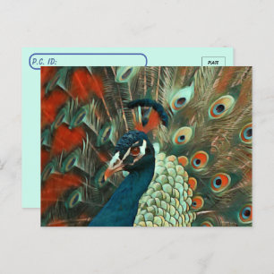 Carte postale Peacock colorée