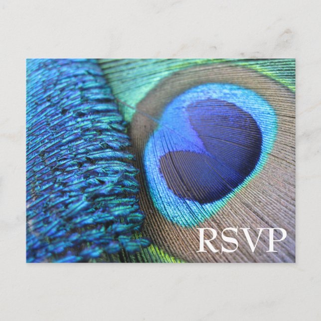 Carte postale Peacock Feather RSVP (Devant)