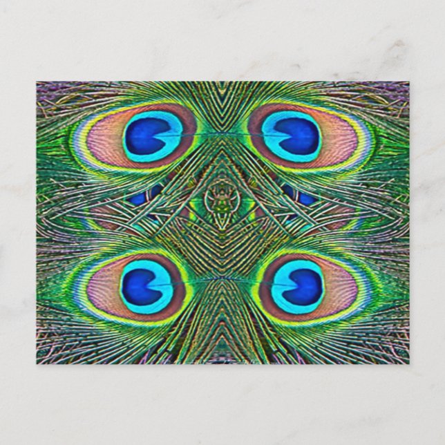 Carte Postale Peacock Feathers (Devant)