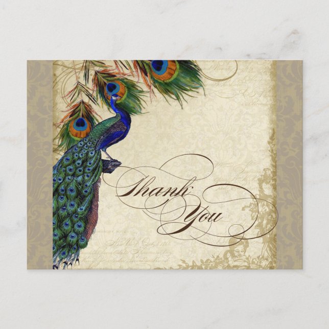 Carte Postale Peacock & Feathers Formal Merci Note Aqua Blue (Devant)