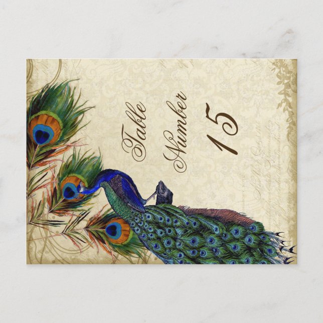 Carte Postale Peacock & Feathers Numéros de tableau des Mariages (Devant)