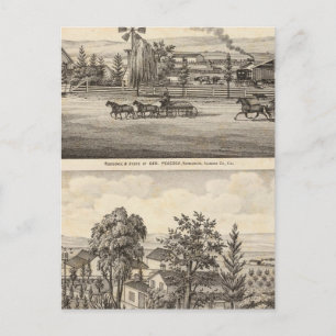 Carte Postale Peacock res, Willow Glen