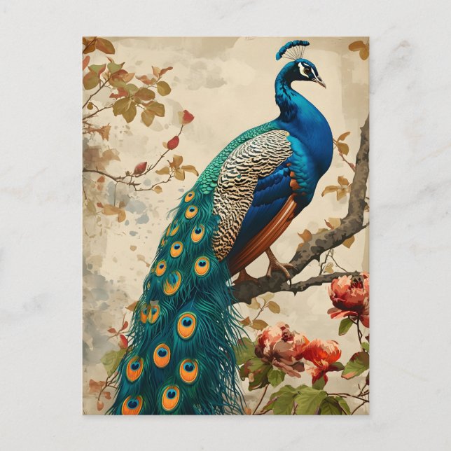 Carte postale Peacock Splendor vintage (Devant)