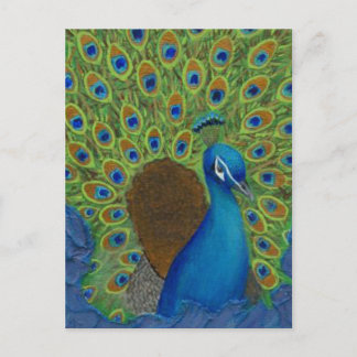 Carte Postale Peacock, Tirez Vos Plumes