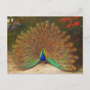 Carte postale Peacock vintage