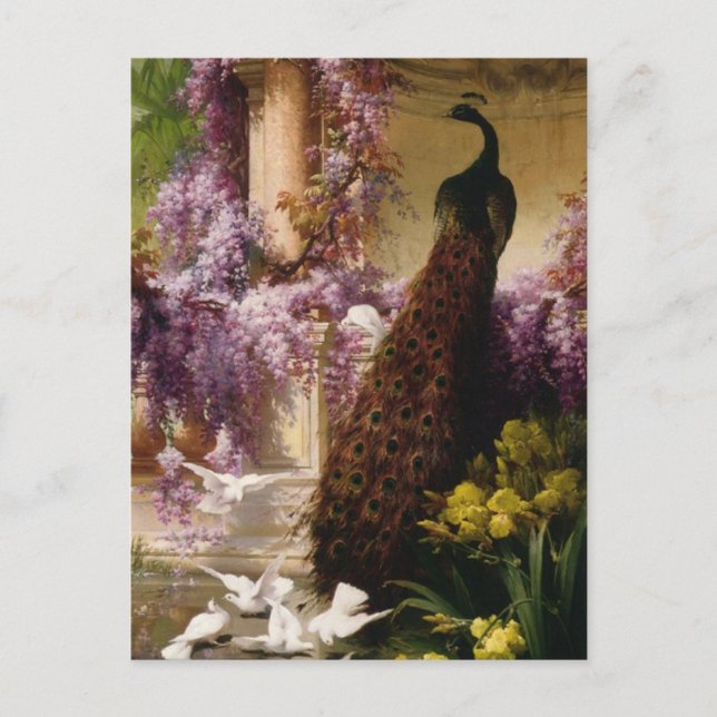 Carte Postale Peacock vintage (Devant)