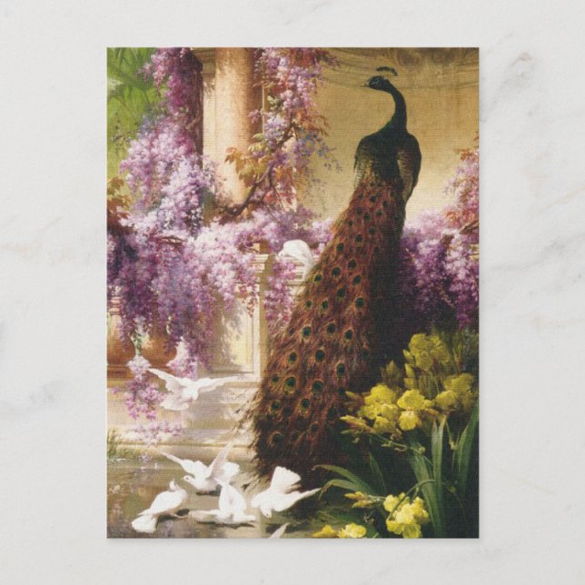 Carte Postale Peacocks et Doses (Devant)