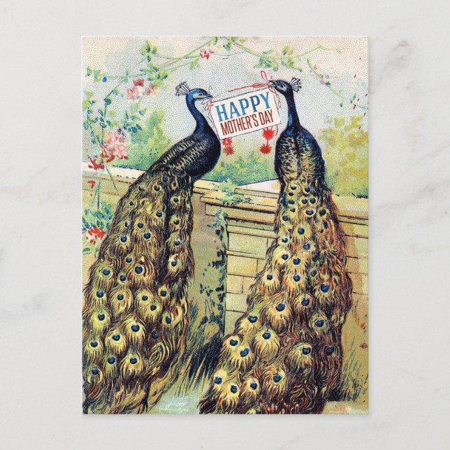 Carte Postale Peacocks vintages - Bonne fête des mères (Devant)