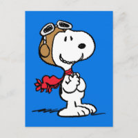 Peanuts | Snoopy l'as de l'aviation