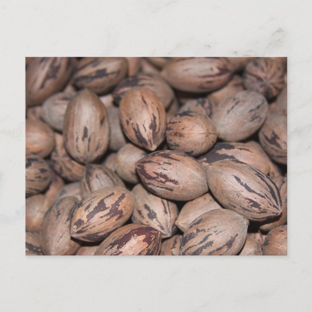 Carte postale Pecan (Devant)