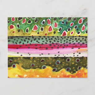 Carte Postale Pêche à la truite Brown, arc-en-ciel et omble de f