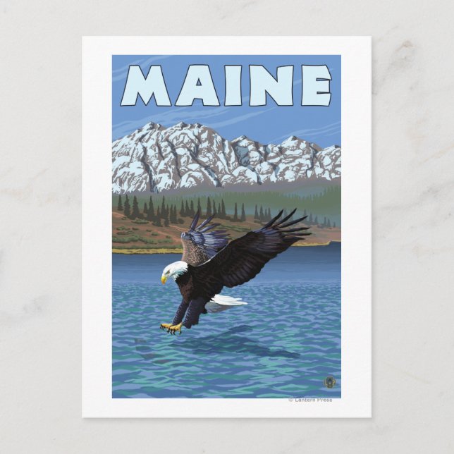 Carte Postale Pêche de l'aigle du Maine (Devant)