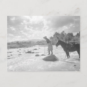 Carte Postale Pêche de mouche de Frances Phelps Belden en