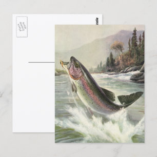 Carte Postale Pêcheur vintage de truite arc-en-ciel Pêche du poi