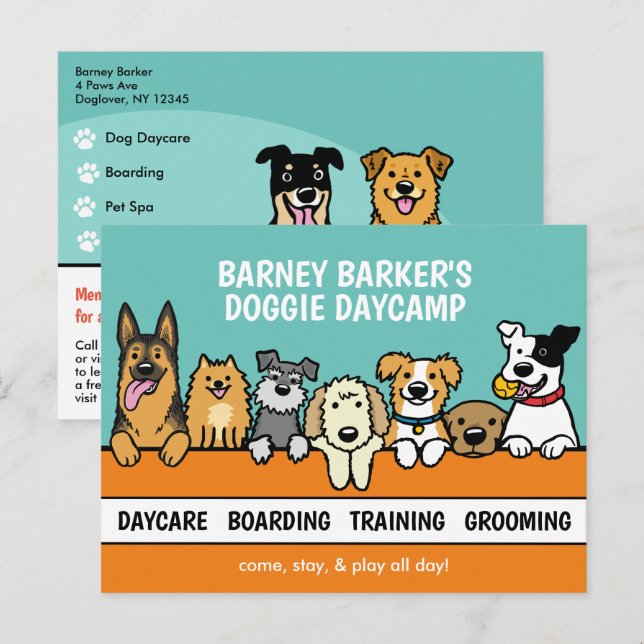 Carte Postale Peeking Dogs Soins aux animaux de compagnie Mignon (Devant / Derrière)