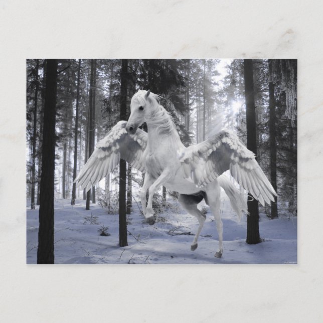 Carte Postale Pegasus aile Flying Horse Forêt Neige (Devant)