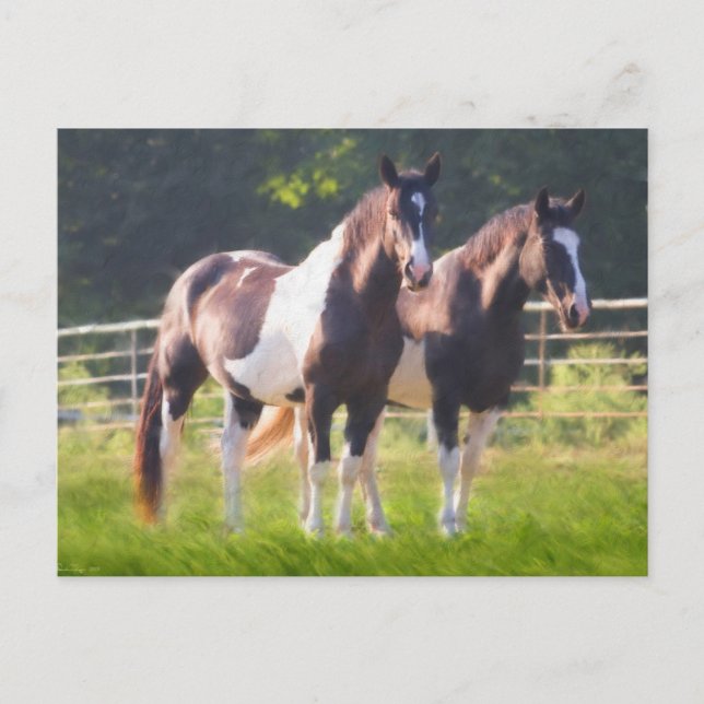 Carte Postale Peindre Les Chevaux En Pâturage (Devant)