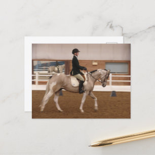 Carte Postale Peindre un cheval à un spectacle de chevaux