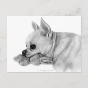 Carte Postale Peint À La Main Chihuahua Bela Avec Jouet Favori