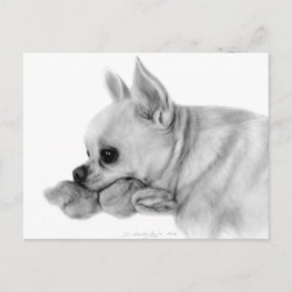 Carte Postale Peint À La Main Chihuahua Bela Avec Jouet Favori