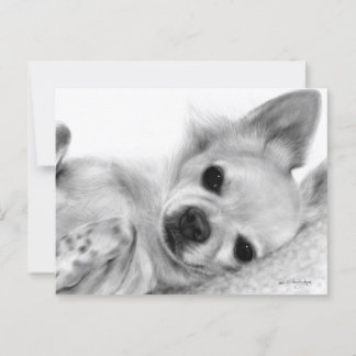 Carte Postale Peinture à la main Repos Chihuahua