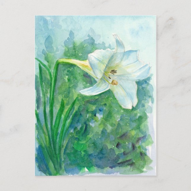 Carte Postale Peinture à l'aquarelle blanche à fleurs (Devant)