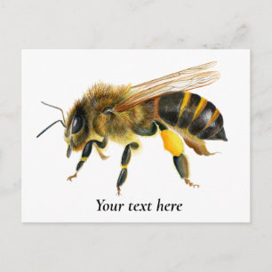 Carte Postale Peinture à l'aquarelle d'abeille à miel