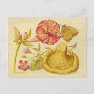 Carte Postale Peinture à l'aquarelle des champignons papillons
