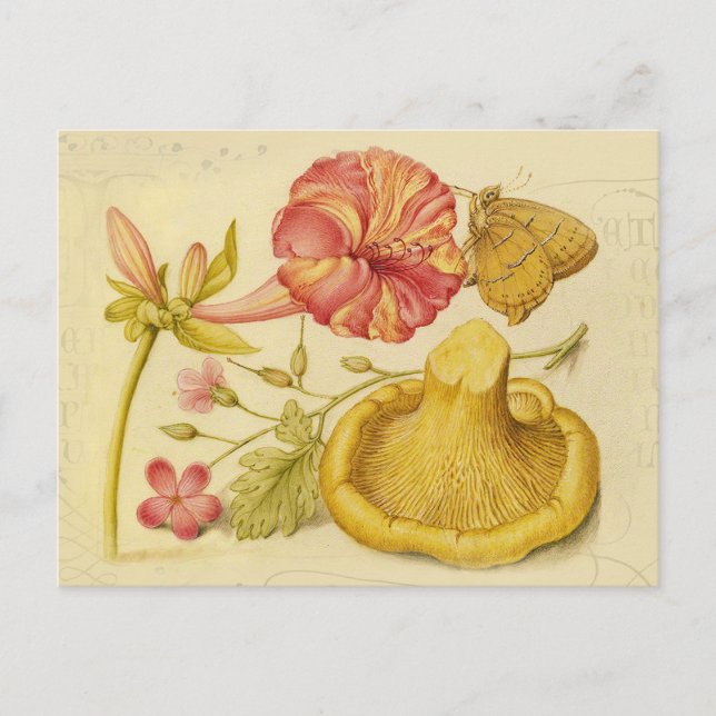 Carte Postale Peinture à l'aquarelle des champignons papillons (Devant)