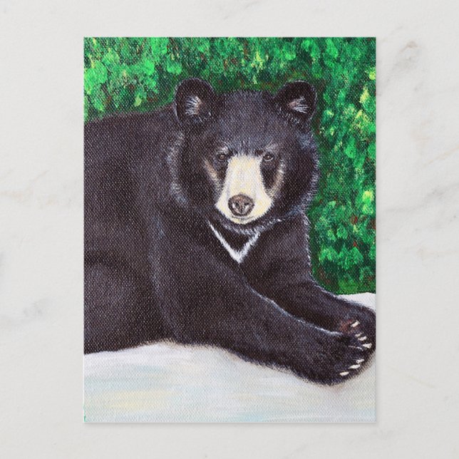 Carte Postale Peinture à l'ours noir (Devant)