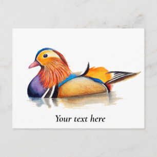 Carte Postale Peinture aquarelle Canard mandarin