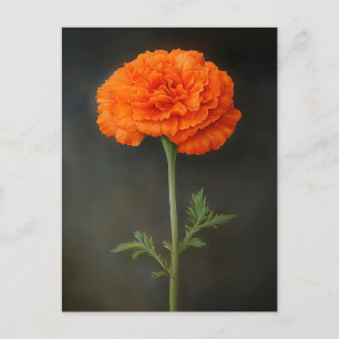Carte Postale Peinture botanique de Marigold