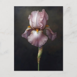 Carte Postale Peinture Botanique Iris Violet