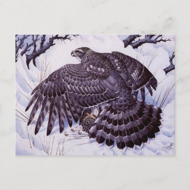 Carte postale Peinture classique (Devant)