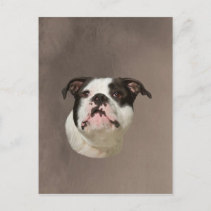 Carte Postale Peinture couleur d'eau Bulldog