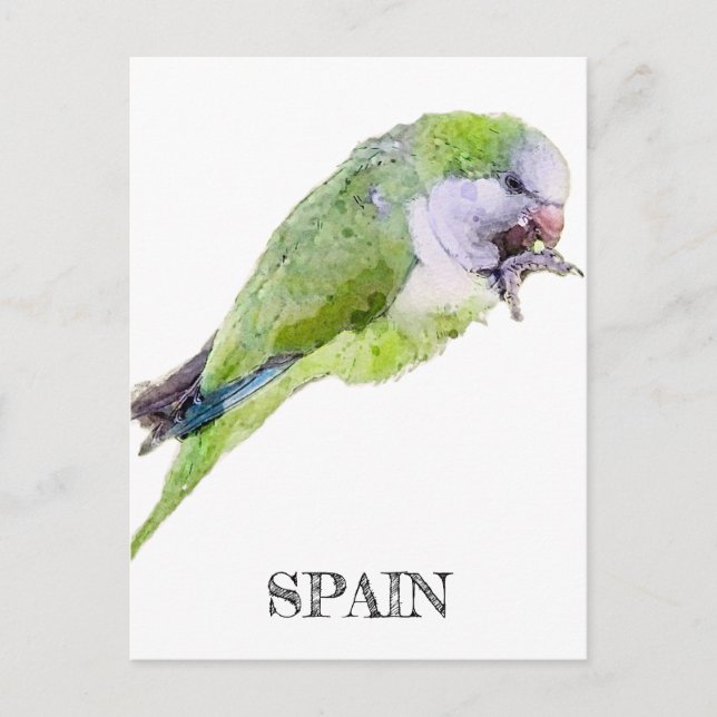Carte Postale Peinture d'aquarelle de perroquet vert (Devant)