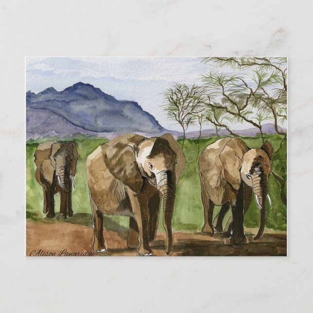 Carte Postale Peinture d'aquarelle des éléphants africains (Devant)