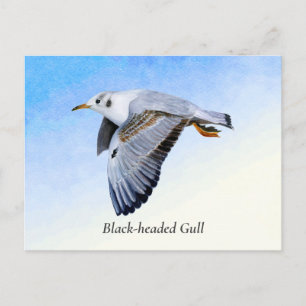 Carte Postale Peinture d'aquarelle pour oiseaux de mer