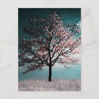 Carte Postale Peinture d'arbre de fleurs de cerisier - Poussard