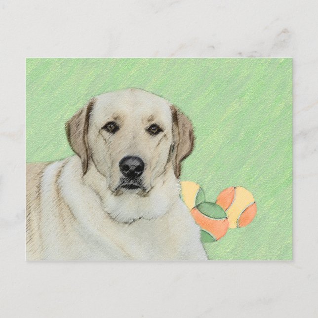 Carte Postale Peinture de balles de tennis et de retrieur du Lab (Devant)