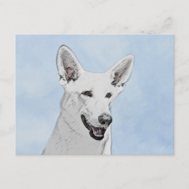 Carte Postale Peinture de berger blanc - jolie art original de c (Devant)
