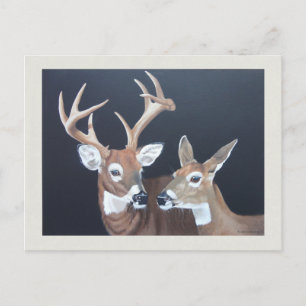 Carte Postale Peinture de cerfs blancs Buck et Doe