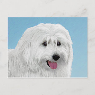 Carte Postale Peinture de chien de berger polonais - Chien d'ori