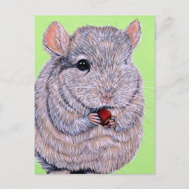 Carte Postale Peinture de Chinchilla à la poitrine molle (Devant)