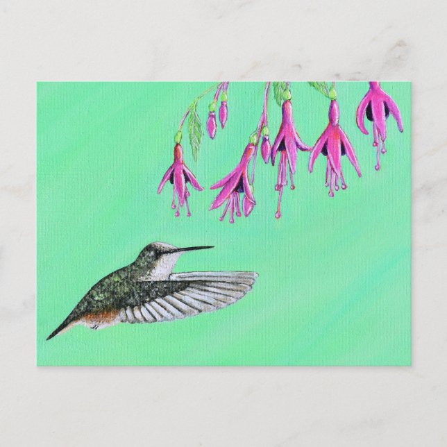 Carte Postale Peinture de colibri et Fuchsia (Devant)