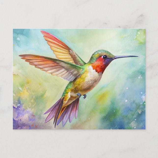 Carte Postale Peinture de colibri roux (Devant)