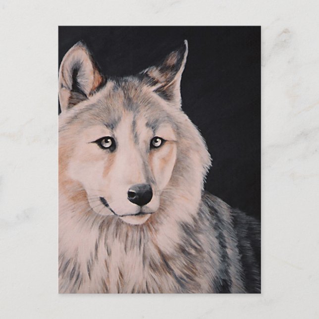 Carte Postale Peinture de Loup blanc par DiDi (Devant)