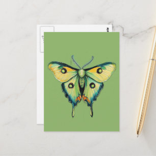 Carte Postale Peinture de papillon lunaire sur fond vert