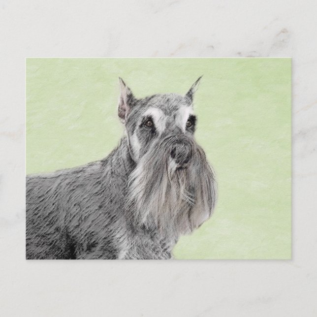Carte Postale Peinture de Schnauzer (géant, standard) - Art cani (Devant)