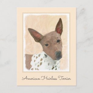 Carte Postale Peinture de Terrier Américain sans Poil - Art Cani